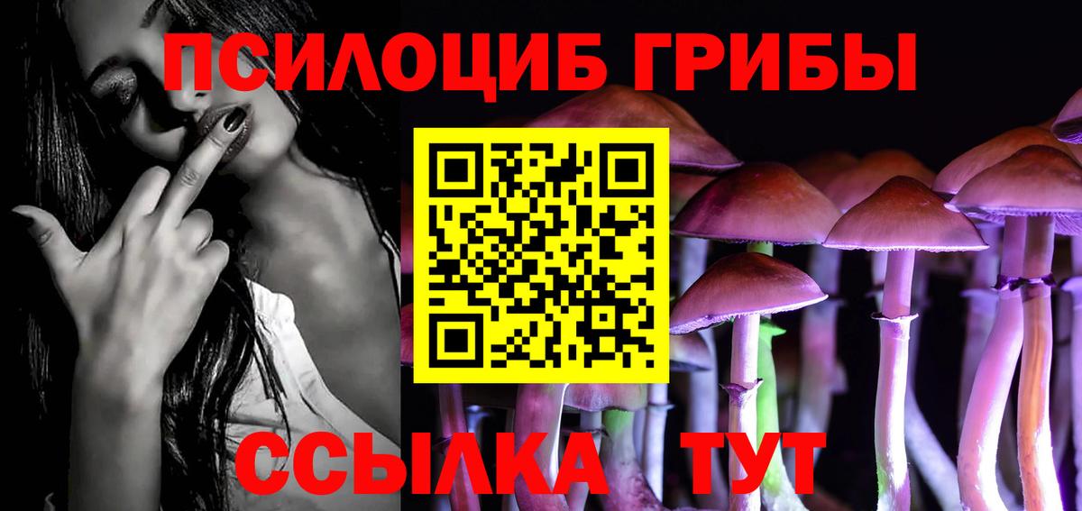 Псилоцибиновые грибы Cubensis Копейск